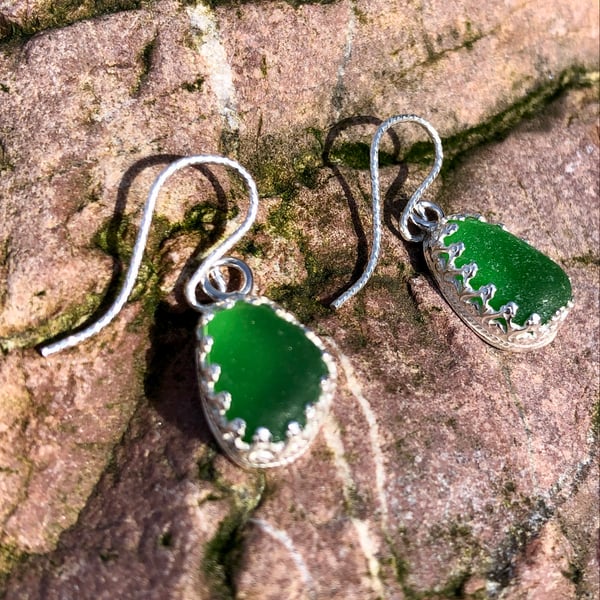 Emerald Green Sea Glass  and Sterling Silver Drop Earrings - 1067