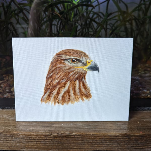 Common Buzzard Painting 