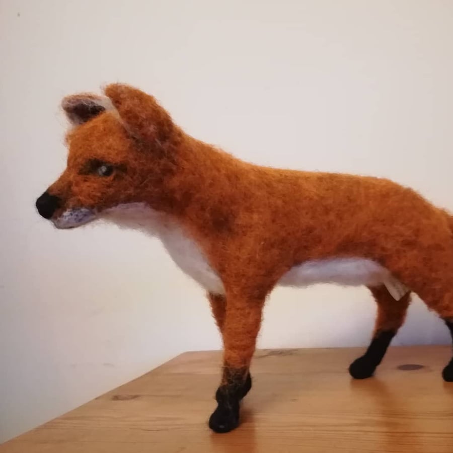 Dog Fox