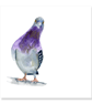 Curious Pigeon greeting card (blank) - Image 3