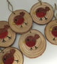 Glitter Robin wood slice hanging decorations - Image 2