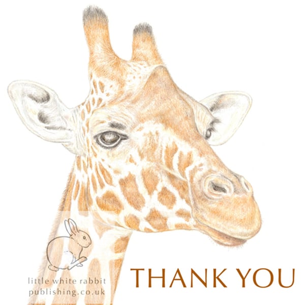 Giraffe - Thank You Card