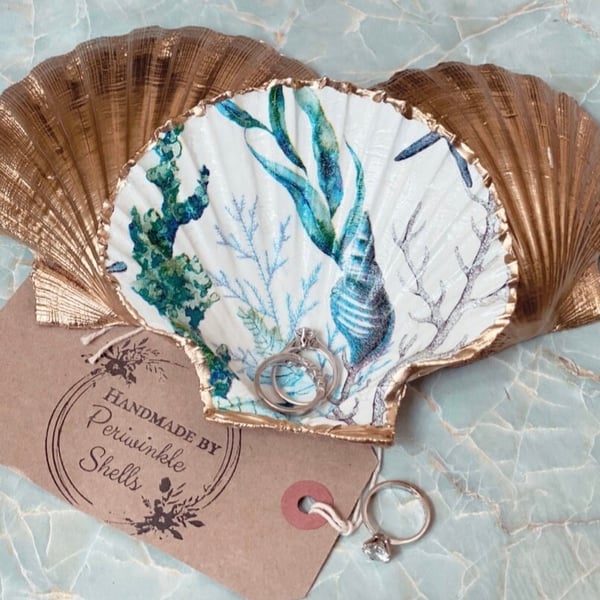 Sealife scallop design with natural back 