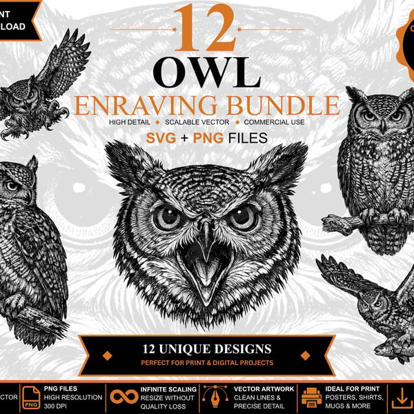 12 Vintage Owl Engraving SVGs Owl Clipart Bundle (Digital Download)