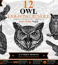 12 Vintage Owl Engraving SVGs Owl Clipart Bundle (Digital Download)
