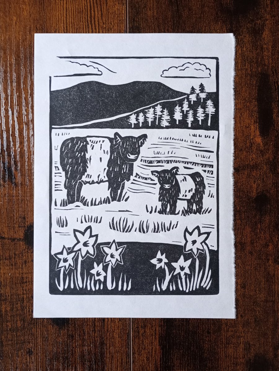 Belted Galloway Cows in the Lake District - Original A5 lino print