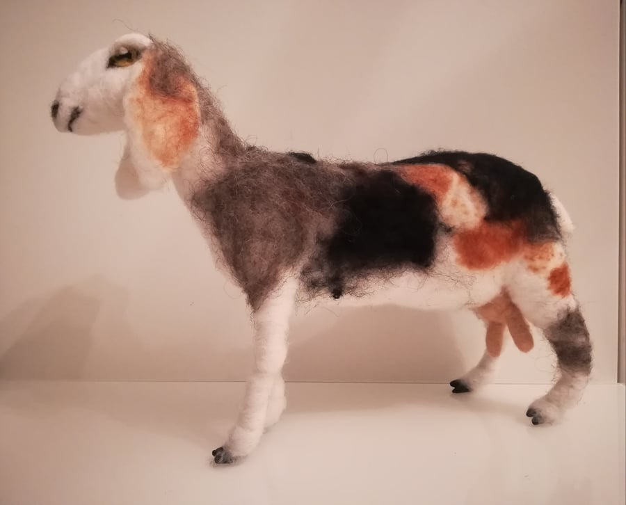 Nubian Goat needle felted wool sculpture OOAK collectable 