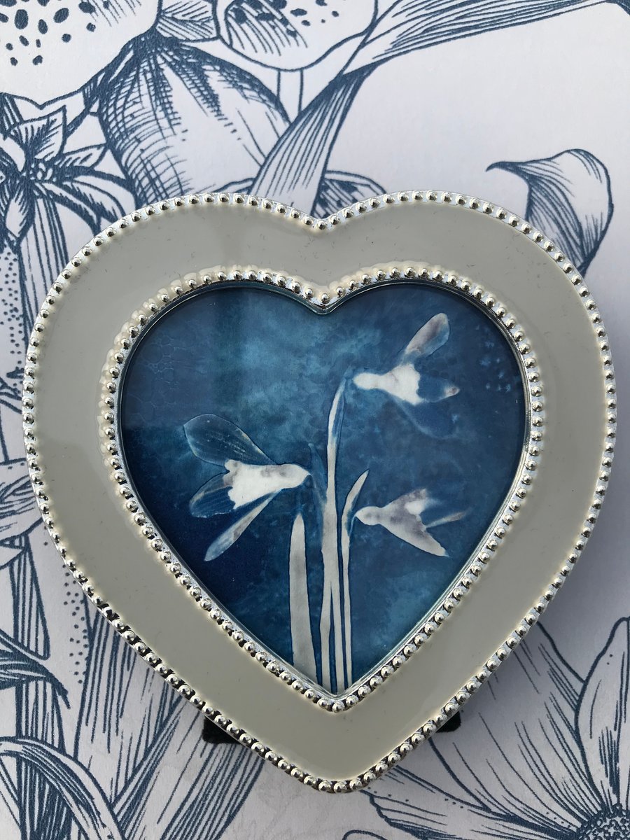 Miniature Framed Snowdrop Botanical Art. Birthday Gift.