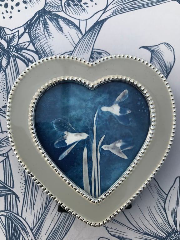 Miniature Framed Snowdrop Botanical Art. Birthday Gift.
