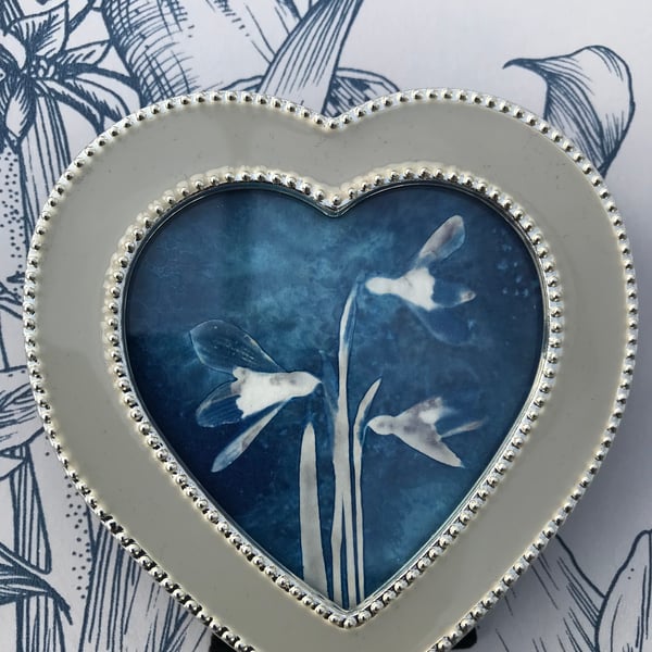 Miniature Framed Snowdrop Botanical Art. Birthday Gift.