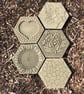 Stepping Stones, Insect Drinkers, Setof 5 - Image 1