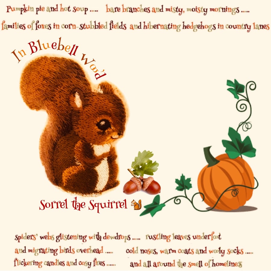 Sorrel the Squirrel from Bluebell Wood 