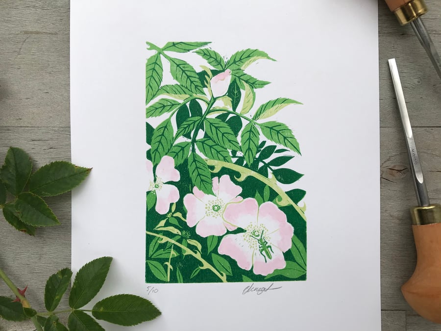 Wild Rose: Original, hand printed lino cut print by Suffolk artist Beth Knight