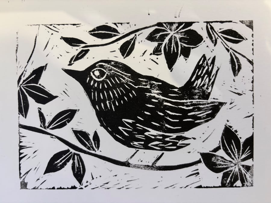 Little Wren 