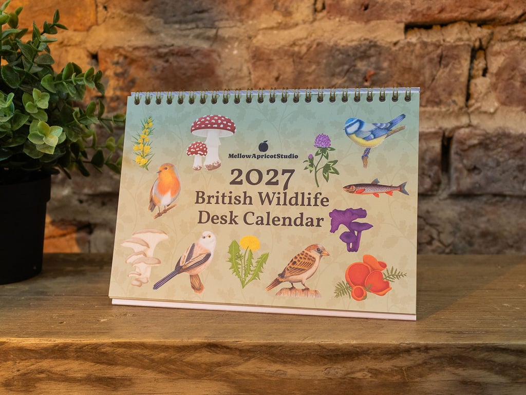 2027 British Wildlife Desk Calendar