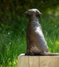 Sitting Puggle Dog Statue Large Bronze Resin Sculpture - Image 7
