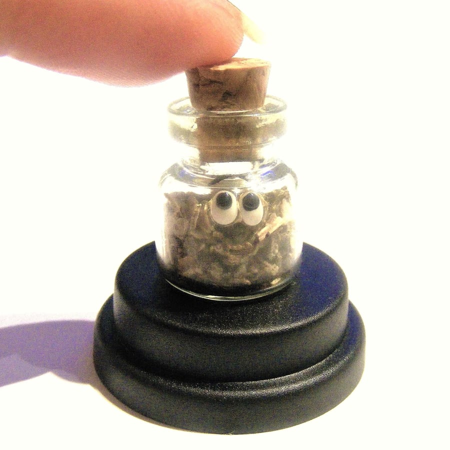 Pet Fake Cannabis Jar, Fake marijuana, Fake Weed Stash, Stoner gift, pot head 