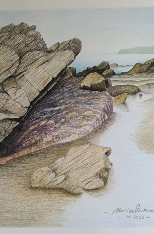 GUARDIAN OF THE ROCK POOL - A colour pencil drawing 