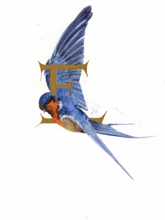 Illustrated letter 'E'