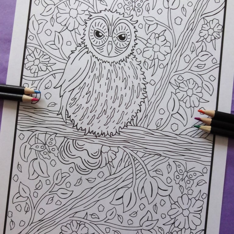 Owl Woodland Animal A4 Colouring Page Printable JPG by S Godwin Studio
