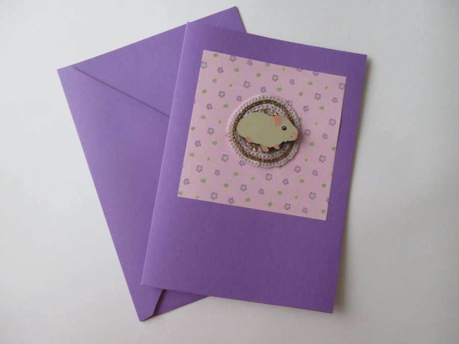 Guinea Pig Blank Greetings Card suitable for Happy Birthday Thank You etc