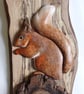 Red squirrel panel - Image 5
