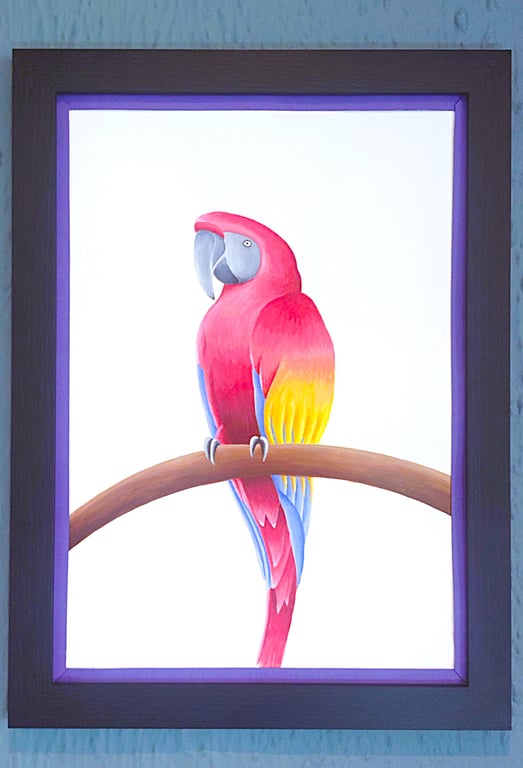 Handmade Unique Framed A3 Print Colourful Macau Parrot Purple Border Wallart