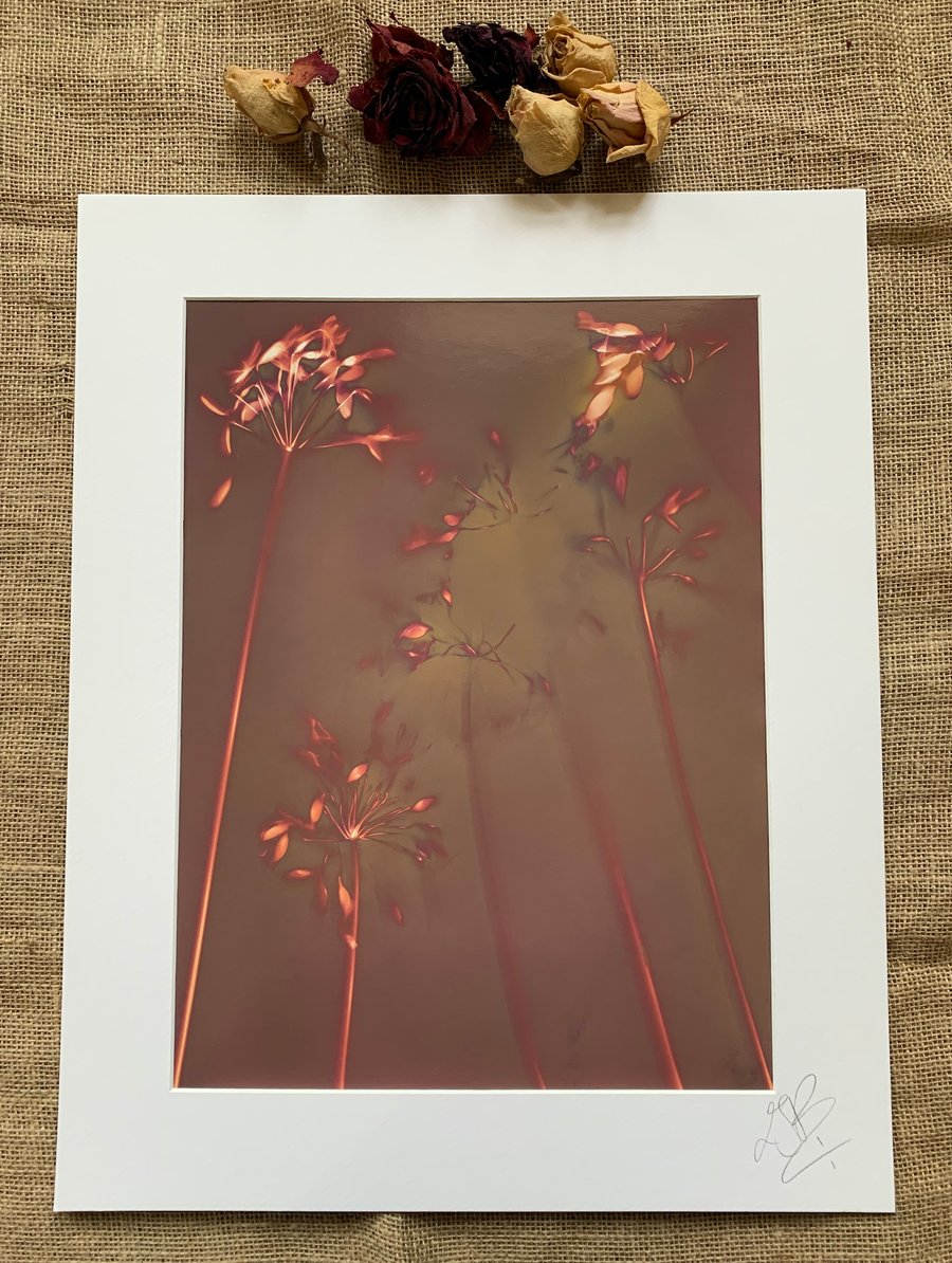 Warm Tone Fibre Based Mount