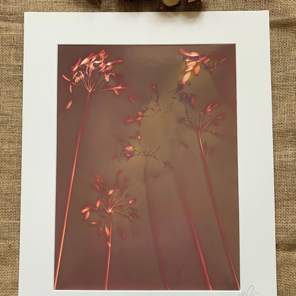 Warm Tone Fibre Based Mount