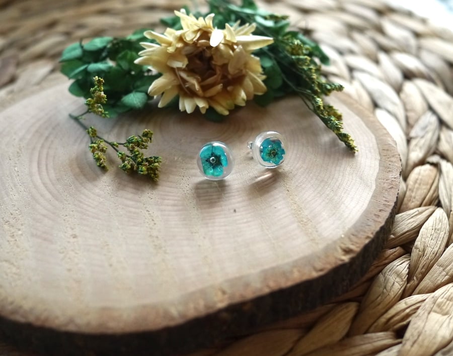Forget-Me-Not - Real dried flowers, resin stud earrings with Sterling Silver