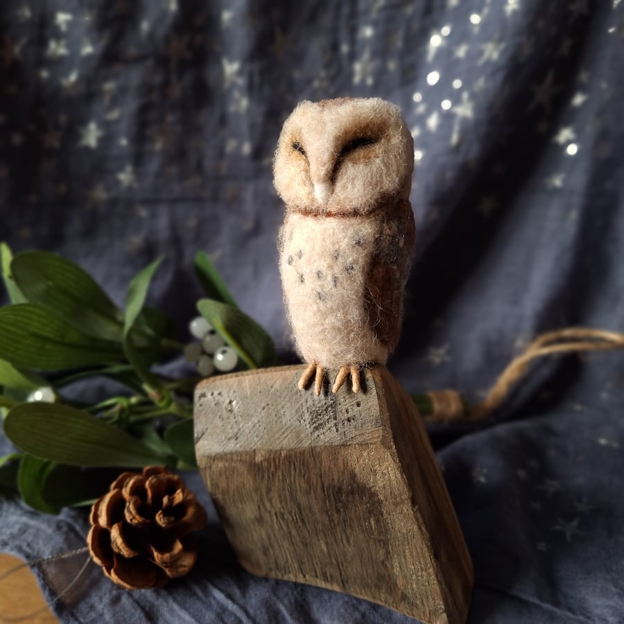 Sleepy Barn Owl on Oak Cask Offcut