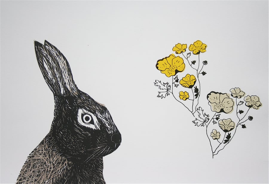 Hare and Buttercups