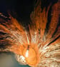 Large tree trunk floor or table lamp  - Image 3