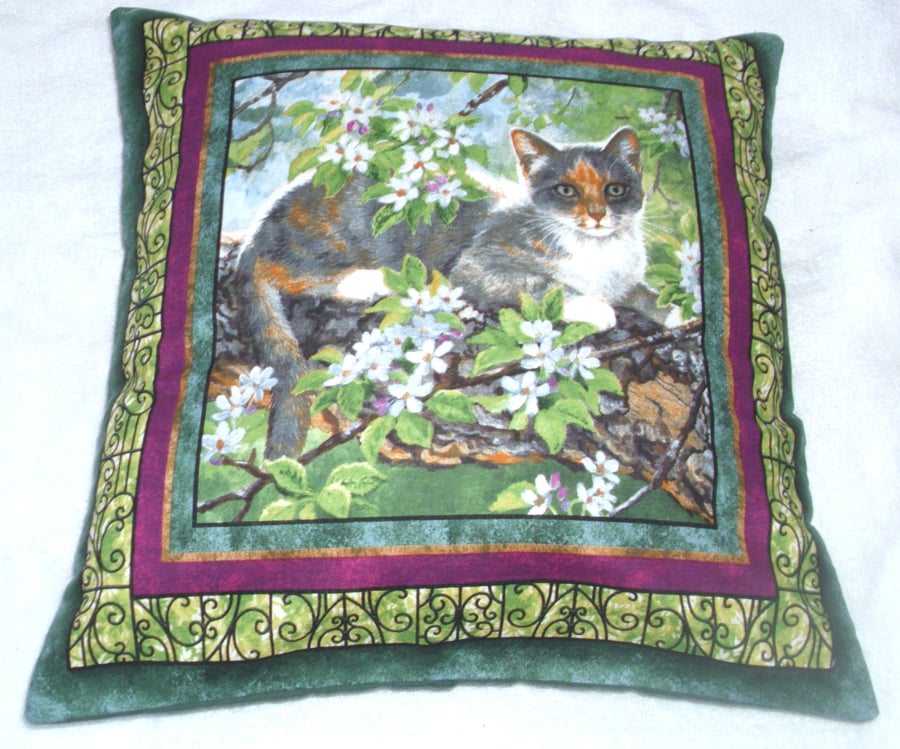 Pretty ginger, grey and white kitten sitting up in an apple tree cushion 