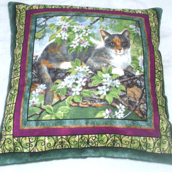 Pretty ginger, grey and white kitten sitting up in an apple tree cushion 