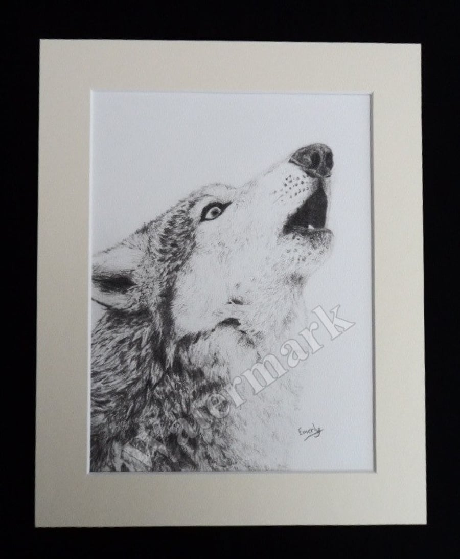 Howling wolf pencil drawing print