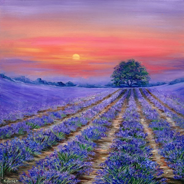 Lavender Fields at Sunset - Limited Edition Giclée Print