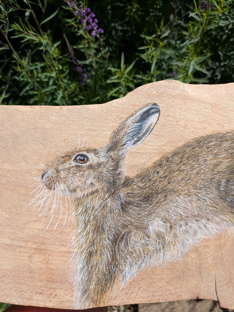 Original Hare Painting on Reclaimed Wood