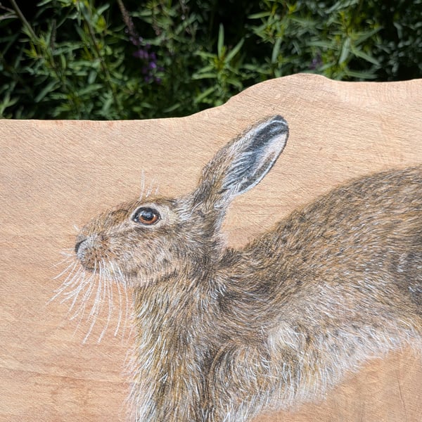 Original Hare Painting on Reclaimed Wood