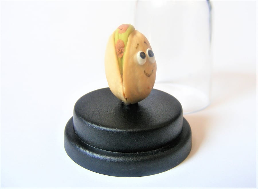 Pet Pistachio Nut, Nut lover, Vegan gift, Vegetarian gift, Nuts about you