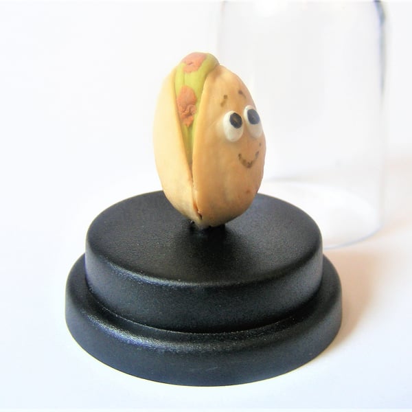 Pet Pistachio Nut, Nut lover, Vegan gift, Vegetarian gift, Nuts about you