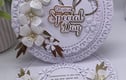 Wedding Cards