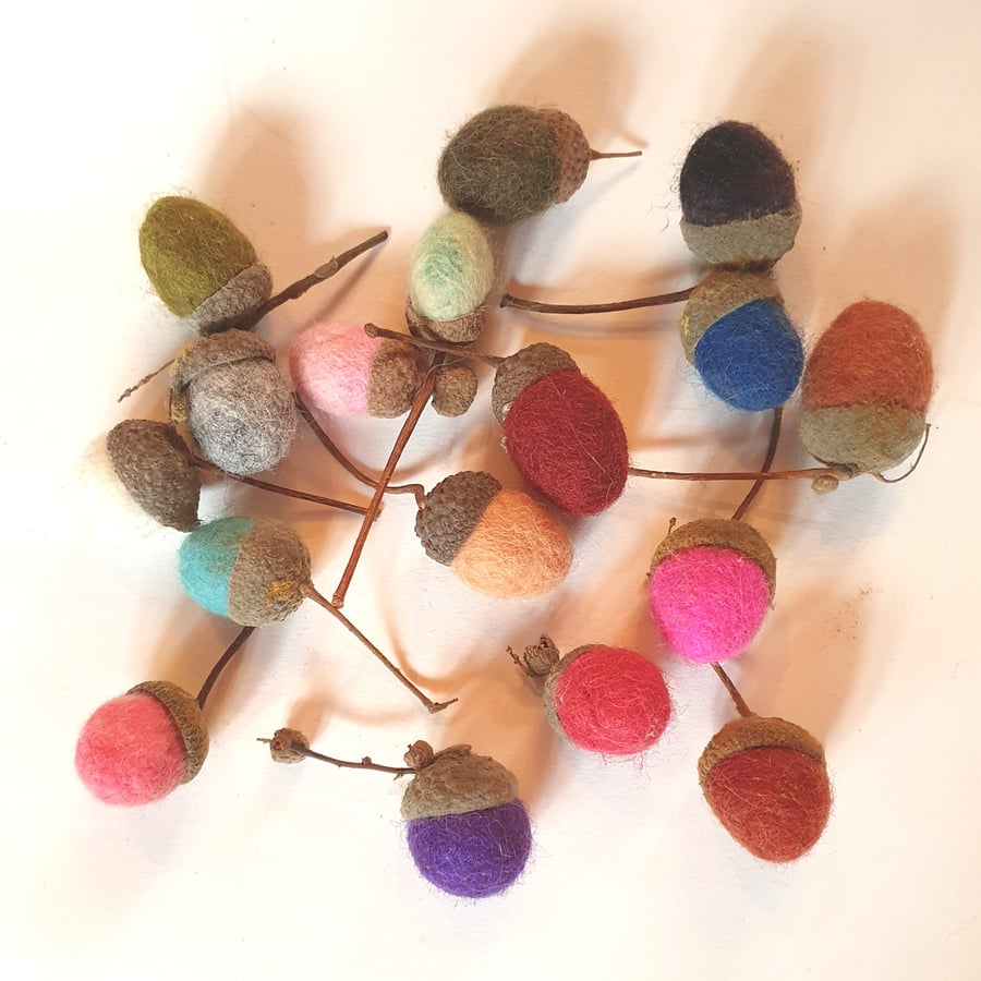 Colourful felt acorns in real acorn cups