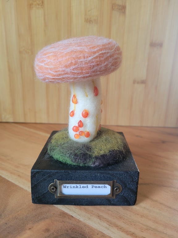 Wrinkled Peach mushroom