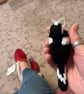 Long tailed tit bird tree decoration hand knit  - Image 7