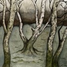 Winter Silver birches 