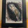 Barn Owl, an A4 or A3 print of an original drawing