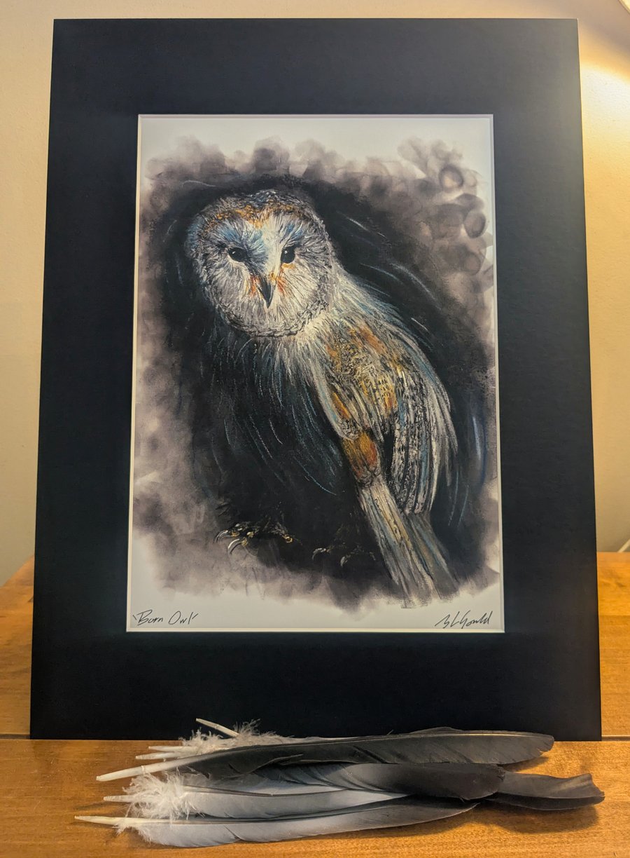 Barn Owl, an A4 or A3 print of an original drawing
