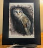 Barn Owl, an A4 or A3 print of an original drawing