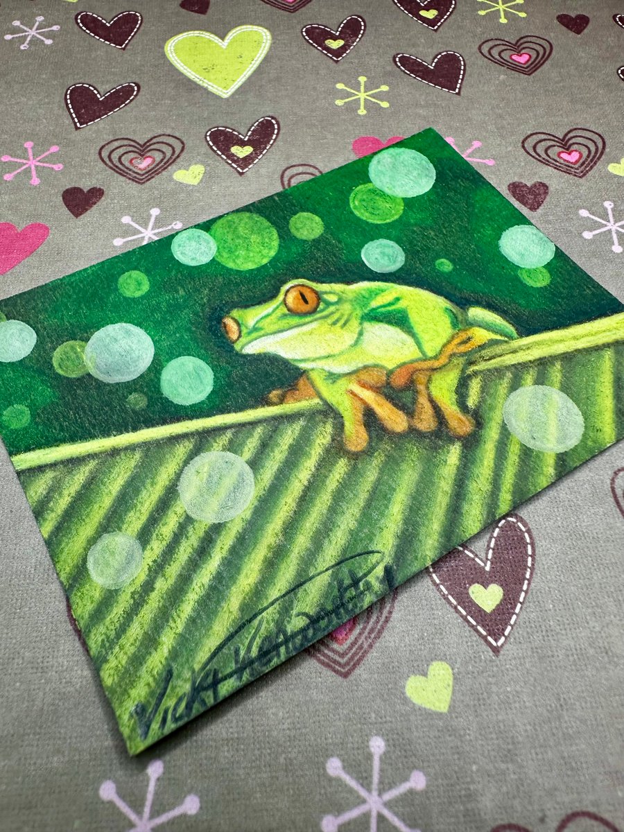 ACEO Original tree frog art 'Just hanging around' By V Kenworthy